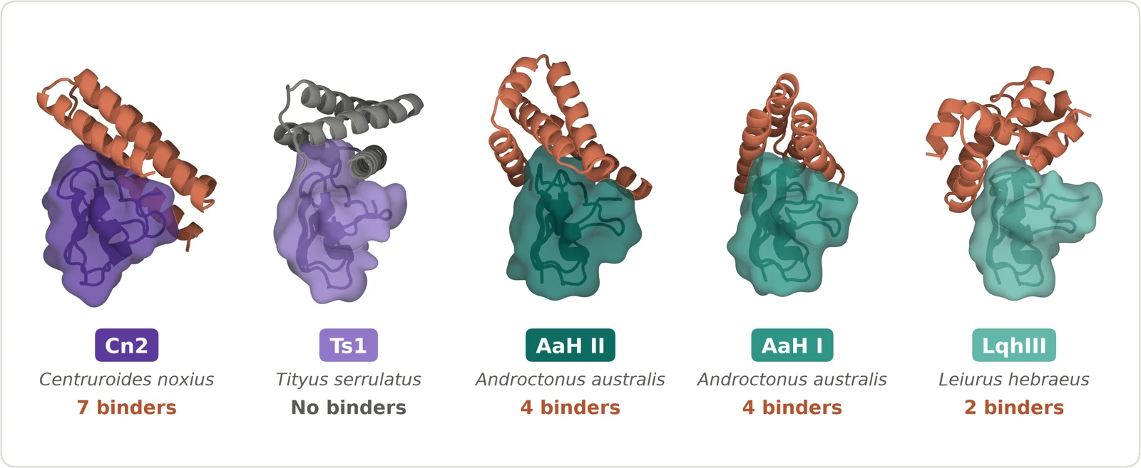 Figura oficial de Anthropic con modelos estructurales previstos: 7 ligantes para Cn2, ninguno para Ts1, 4 para AaH II, 4 para AaH I y 2 para LqhIII.